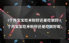 8个月宝宝吃米粉好还是吃粥好(8个月宝宝吃米粉好还是吃粥好呢)