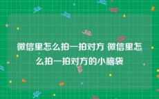 微信里怎么拍一拍对方 微信里怎么拍一拍对方的小脑袋