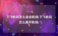 下飞机后怎么走出机场(下飞机后怎么离开机场)