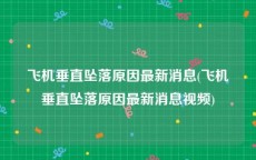 飞机垂直坠落原因最新消息(飞机垂直坠落原因最新消息视频)