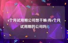 6个月试用期公司想干嘛(有6个月试用期的公司吗)