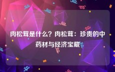 肉松茸是什么？肉松茸：珍贵的中药材与经济宝藏