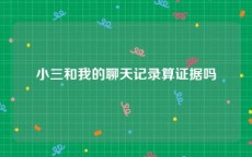 小三和我的聊天记录算证据吗