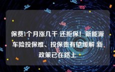 保费1个月涨几千 还拒保！新能源车险投保难、投保贵有望缓解 新政策已在路上