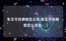 车主不在保险怎么买(车主不在保险怎么买车)
