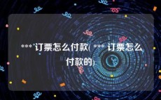  *** 订票怎么付款( *** 订票怎么付款的)