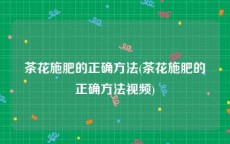 茶花施肥的正确方法(茶花施肥的正确方法视频)