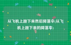 从飞机上跳下来然后降落伞(从飞机上跳下来的降落伞)