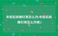 年检后故障灯亮怎么办(年检后故障灯亮怎么办呢)