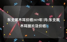 东北黑木耳价格2019年7月(东北黑木耳图片及价格)