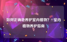 如何正确地养护室内植物？??室内植物养护指南