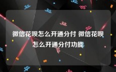 微信花呗怎么开通分付 微信花呗怎么开通分付功能