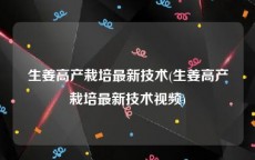 生姜高产栽培最新技术(生姜高产栽培最新技术视频)