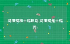 河田鸡和土鸡区别(河田鸡是土鸡吗)