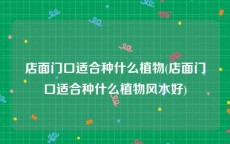 店面门口适合种什么植物(店面门口适合种什么植物风水好)