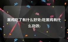 黑鸡吃了有什么好处(吃黑鸡有什么功效)