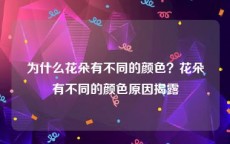 为什么花朵有不同的颜色？花朵有不同的颜色原因揭露