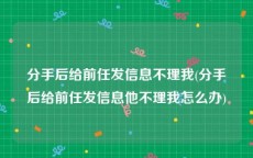 分手后给前任发信息不理我(分手后给前任发信息他不理我怎么办)