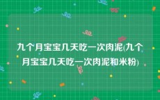 九个月宝宝几天吃一次肉泥(九个月宝宝几天吃一次肉泥和米粉)