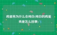 鸡蛋壳为什么会纯白(纯白的鸡蛋壳是怎么回事)