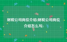 财税公司岗位介绍(财税公司岗位介绍怎么写)