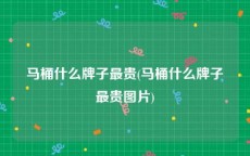 马桶什么牌子最贵(马桶什么牌子最贵图片)