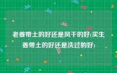 老姜带土的好还是风干的好(买生姜带土的好还是洗过的好)