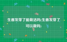 生姜发芽了能栽活吗(生姜发芽了可以栽吗)