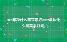 2022年种什么蔬菜最好(2022年种什么蔬菜最好呢)