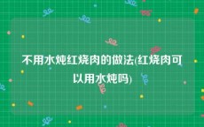 不用水炖红烧肉的做法(红烧肉可以用水炖吗)