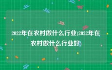2022年在农村做什么行业(2022年在农村做什么行业好)