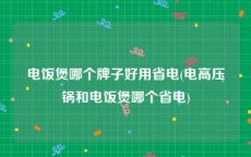 电饭煲哪个牌子好用省电(电高压锅和电饭煲哪个省电)