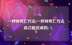 一秒钟死亡方法(一秒钟死亡方法自己能完成的)
