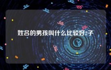 姓吕的男孩叫什么比较好2子