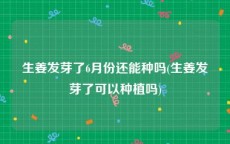 生姜发芽了6月份还能种吗(生姜发芽了可以种植吗)