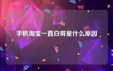 手机淘宝一直白屏是什么原因