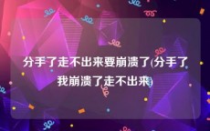 分手了走不出来要崩溃了(分手了我崩溃了走不出来)