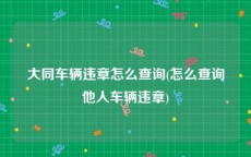 大同车辆违章怎么查询(怎么查询他人车辆违章)