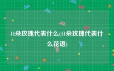 11朵玫瑰代表什么(11朵玫瑰代表什么花语)