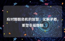 应对婚姻危机的智慧：化解矛盾，重塑幸福婚姻