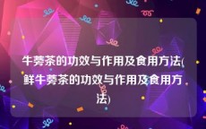 牛蒡茶的功效与作用及食用方法(鲜牛蒡茶的功效与作用及食用方法)