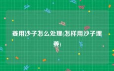 姜用沙子怎么处理(怎样用沙子埋姜)