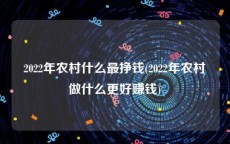 2022年农村什么最挣钱(2022年农村做什么更好赚钱)