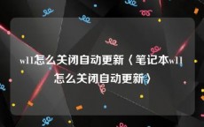 w11怎么关闭自动更新〈笔记本w11怎么关闭自动更新〉
