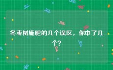 冬枣树施肥的几个误区，你中了几个？