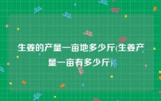 生姜的产量一亩地多少斤(生姜产量一亩有多少斤)