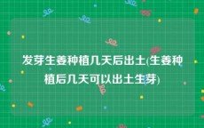 发芽生姜种植几天后出土(生姜种植后几天可以出土生芽)