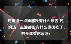 炖鸡汤一点油都没有什么原因(炖鸡汤一点油都没有什么原因吃了对身体有伤害吗)