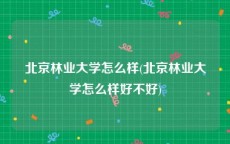 北京林业大学怎么样(北京林业大学怎么样好不好)