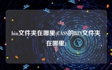 bin文件夹在哪里(CASS的BIN文件夹在哪里)